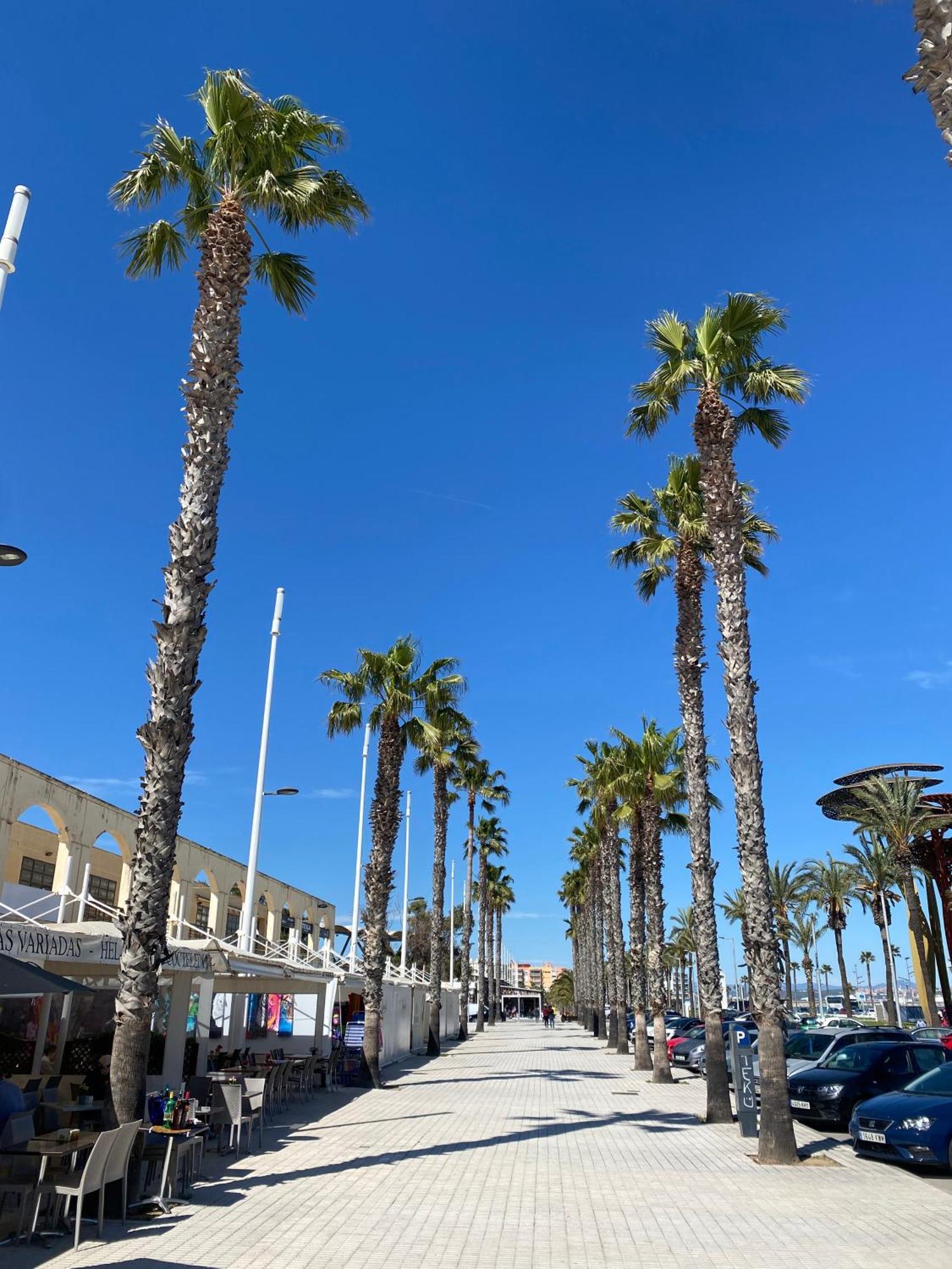 Sun And Beach Lovers 12019 La Pineda Luaran gambar